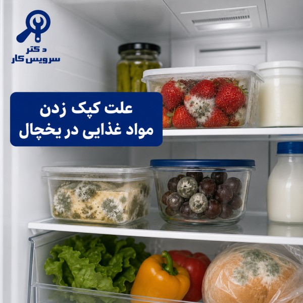 علت کپک زدن مواد غذایی در یخچال بررسی دلایل آن تعمیر یخچال و فریزر در تهران